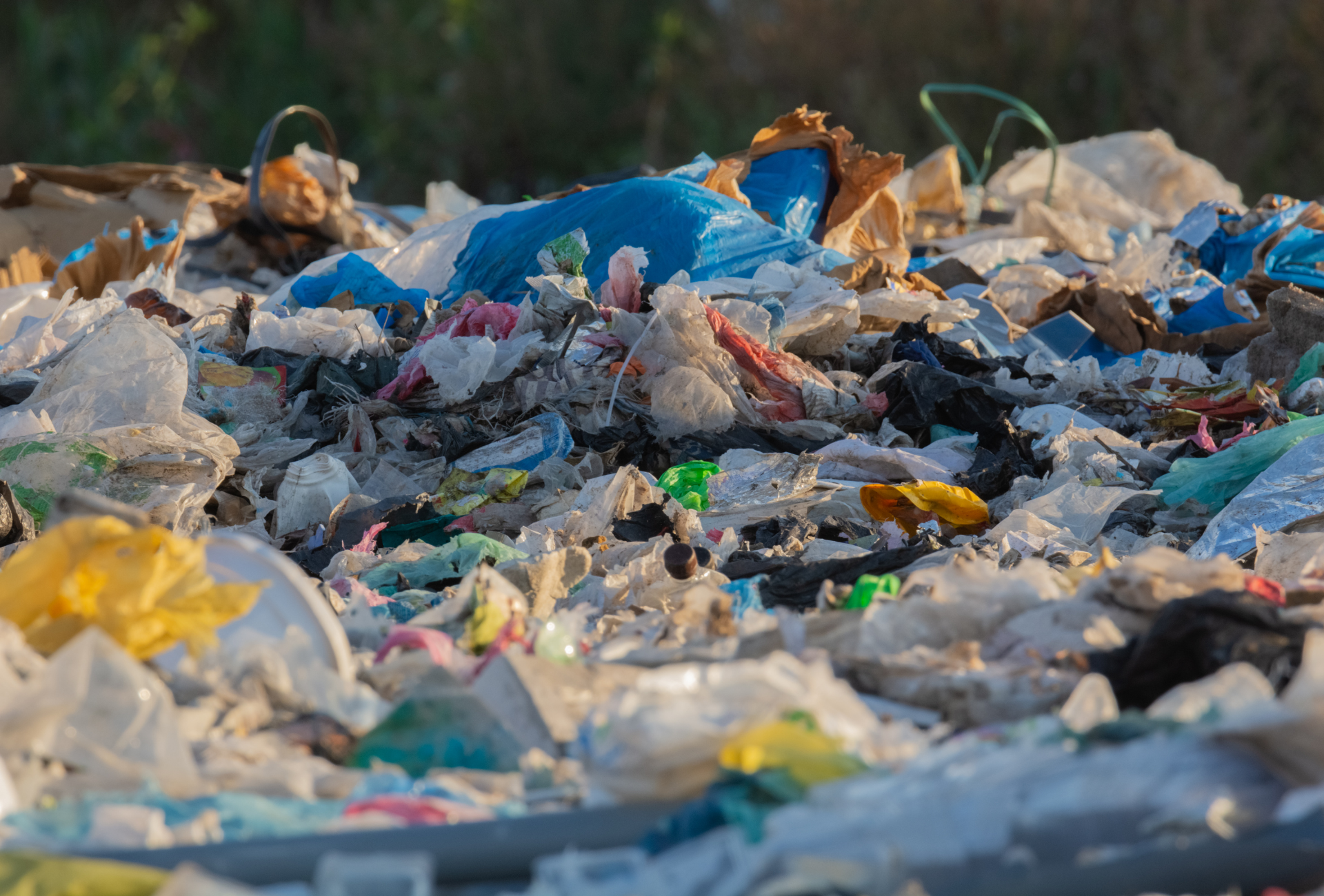 Pinto frente al desafío invisible: los vertidos y las plagas urbanas