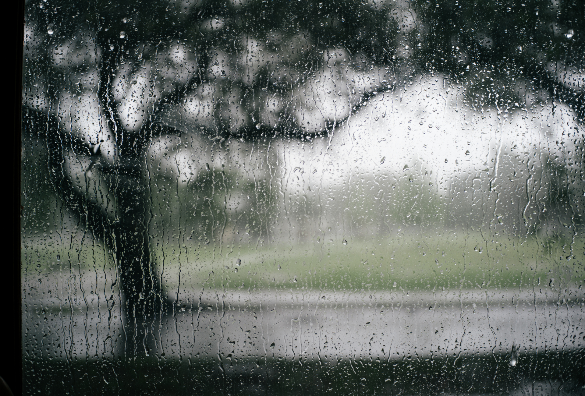 Humedad y plagas en Pinto: un reto en comunidades y espacios abiertos