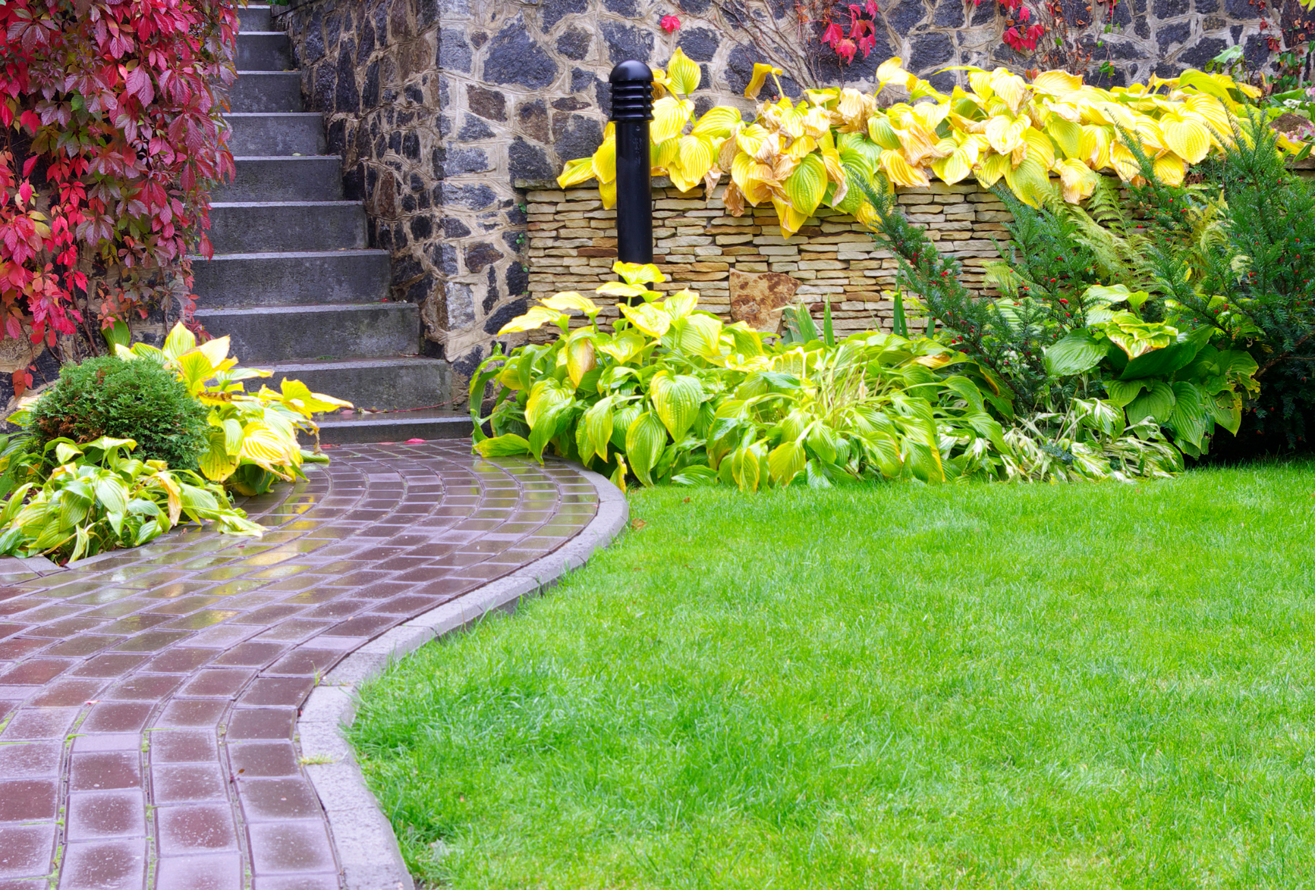 Prevención de plagas en jardines comunitarios de Pinto: guía práctica para comunidades y urbanizaciones